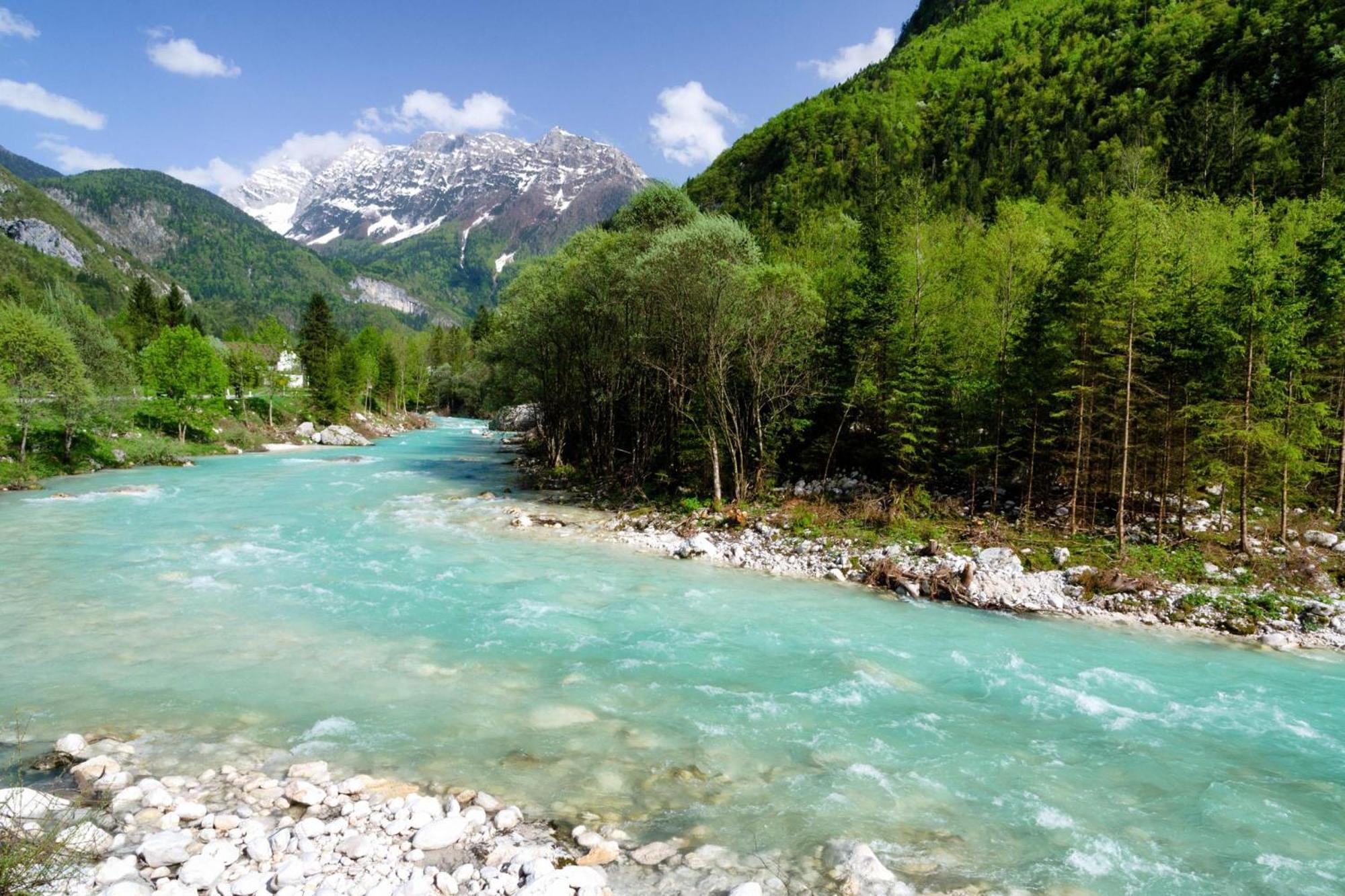 House By The Stream - Happy Rentals Avce Eksteriør bilde