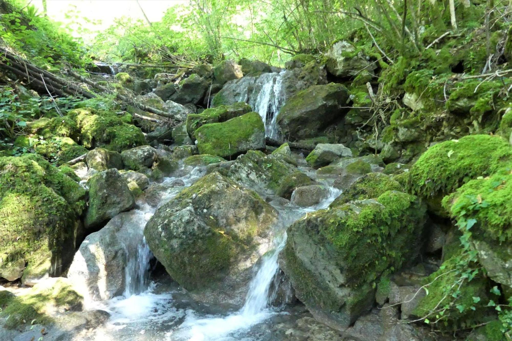 House By The Stream - Happy Rentals Avce Eksteriør bilde