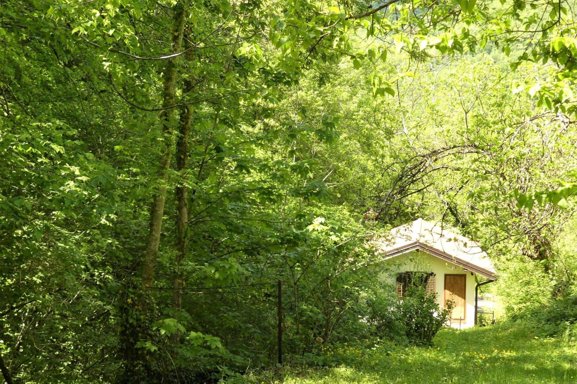 House By The Stream - Happy Rentals Avce Eksteriør bilde