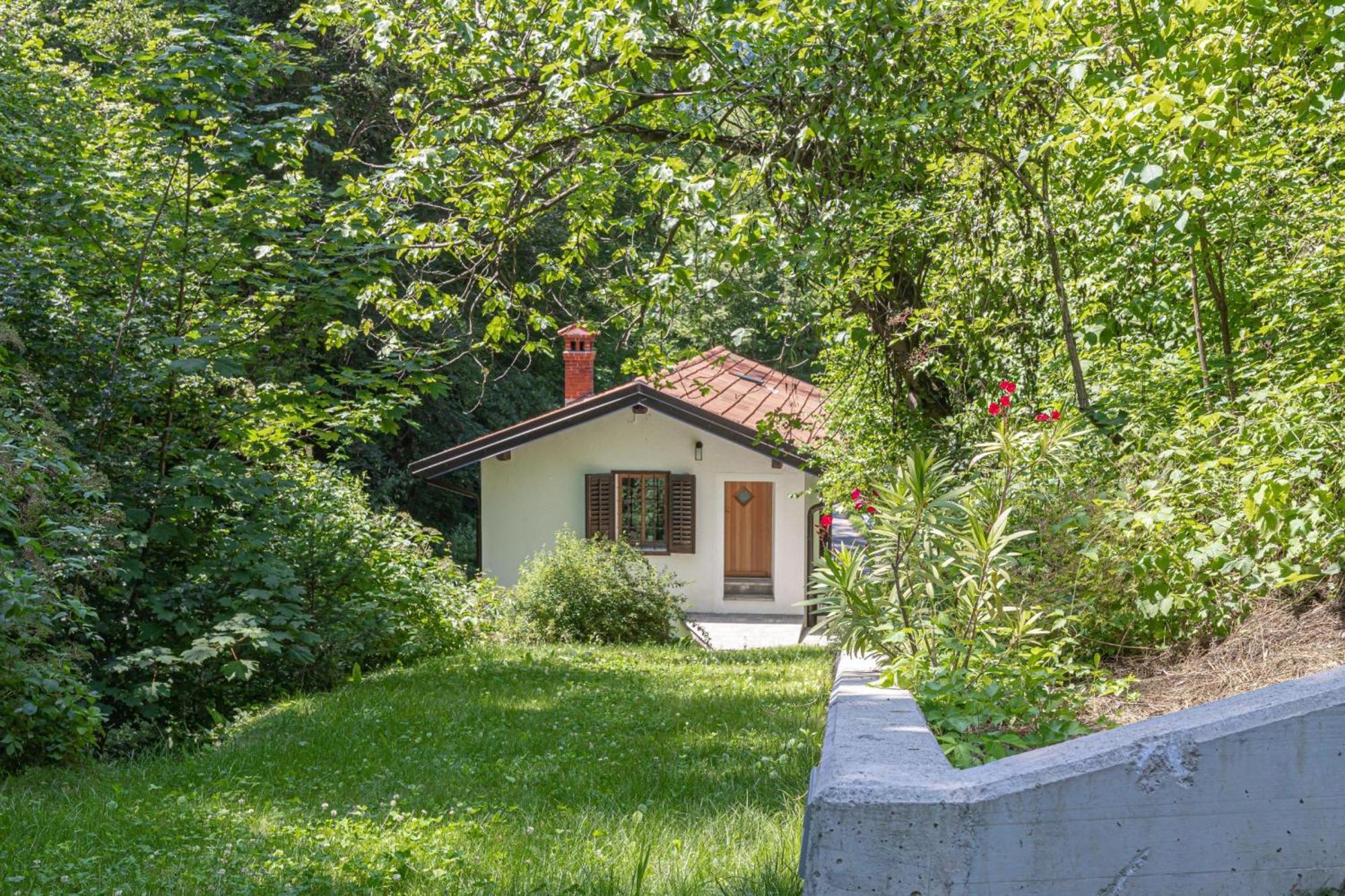House By The Stream - Happy Rentals Avce Eksteriør bilde